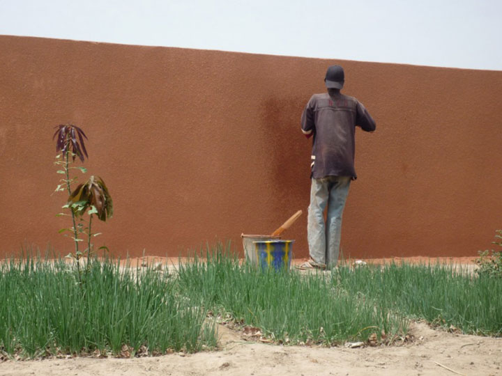 mur du fond, devant les plantations d'oignons