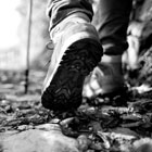 Slow Foot