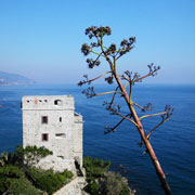 Parco nazionale delle Cinque Terre