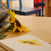 Girasole