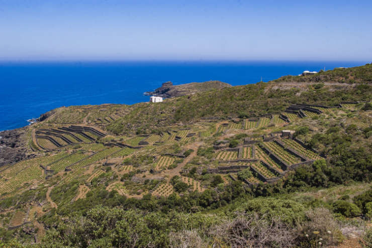 Il filo dell’orizzonte. Viaggio a Pantelleria