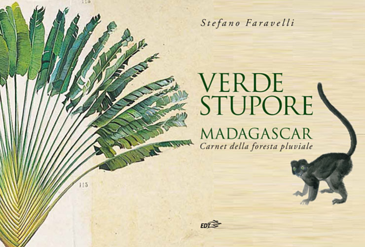 Verde stupore