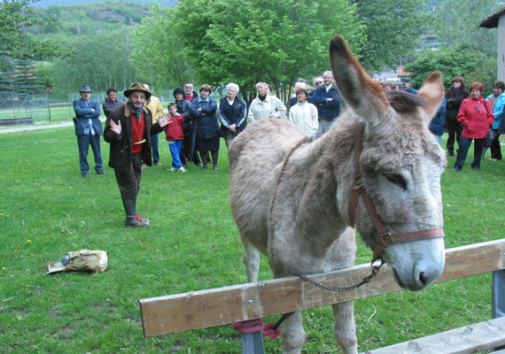 Cogne