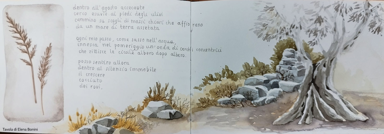 Carnet del viaggio a Cefalonia di Elena Bonini