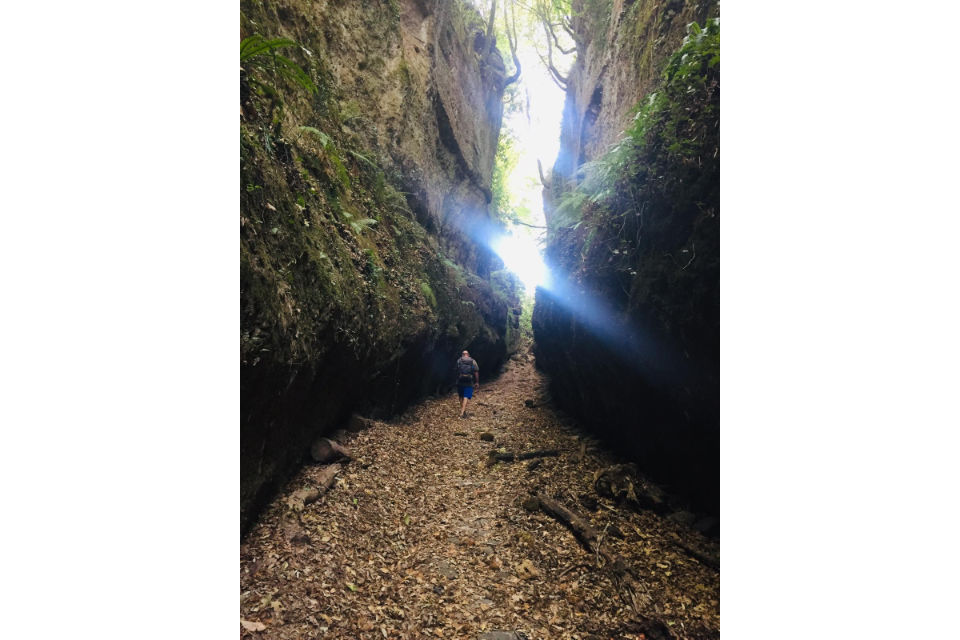 Laboratorio di scrittura di guide sentimentali