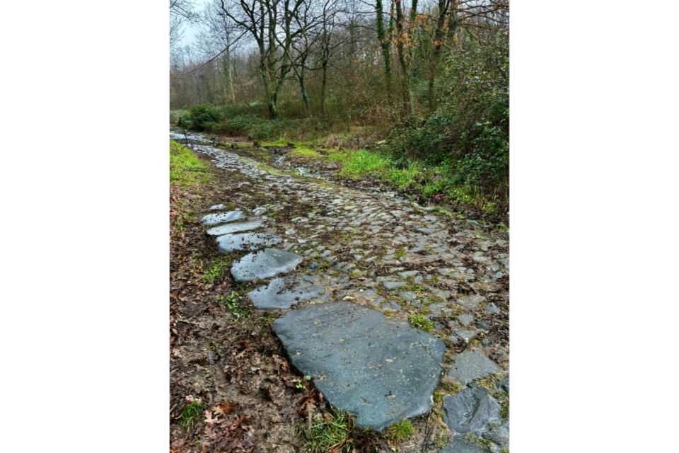 Laboratorio di scrittura di guide sentimentali