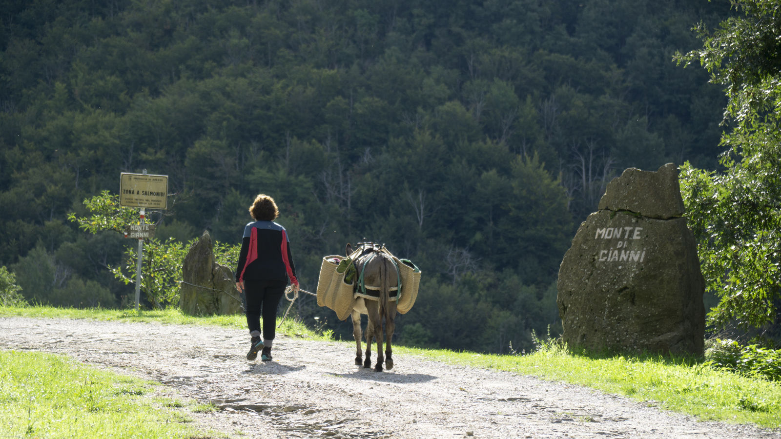 Laboratorio letterario nelle foreste Casentinesi nei luoghi di Dino Campana e passeggiate con gli asini