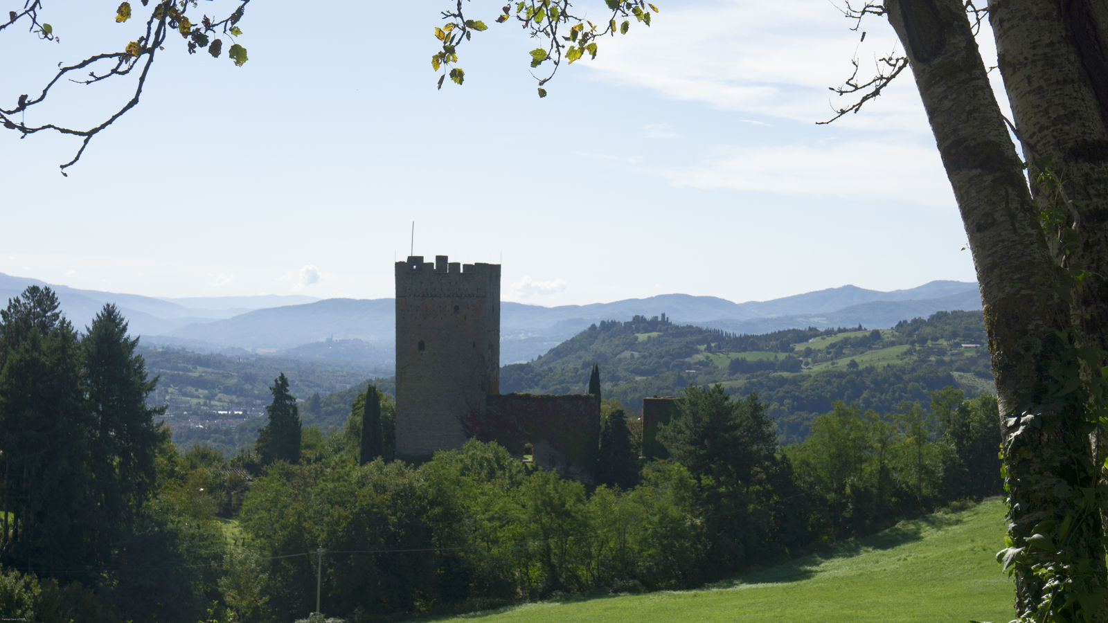 Laboratorio letterario nelle foreste Casentinesi nei luoghi di Dino Campana e passeggiate con gli asini