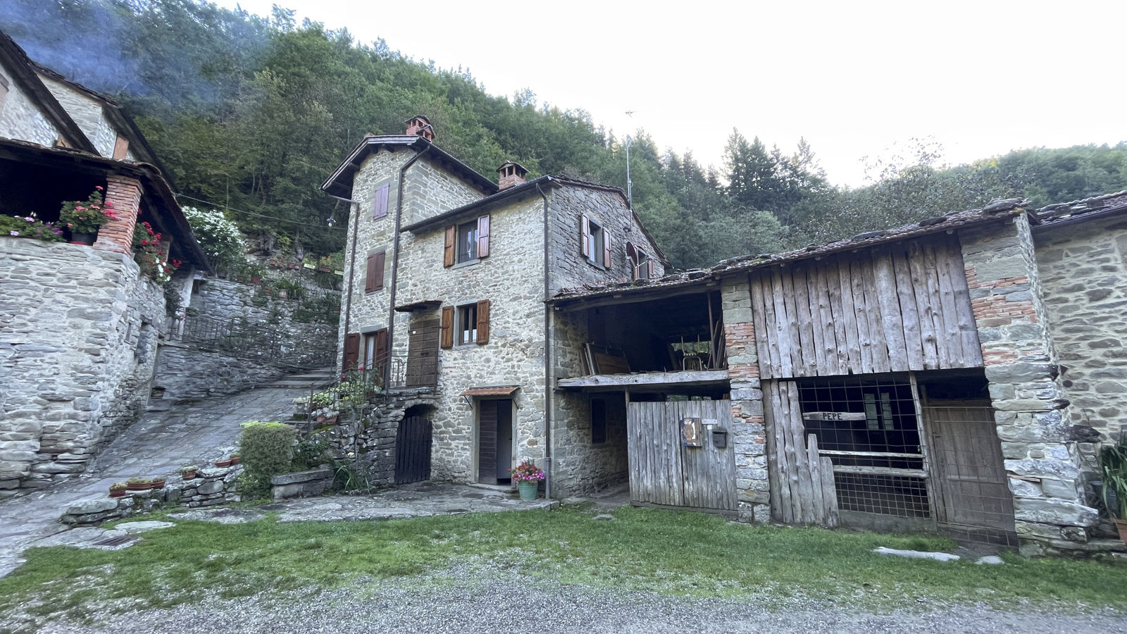Laboratorio letterario nelle foreste Casentinesi nei luoghi di Dino Campana e passeggiate con gli asini