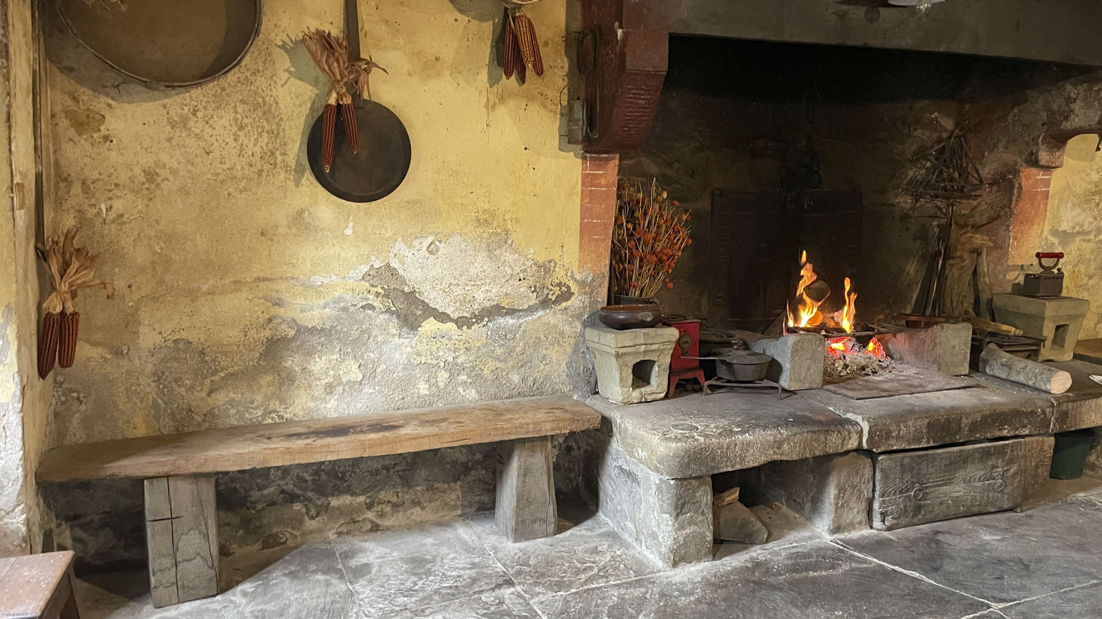 Laboratorio letterario nelle foreste Casentinesi nei luoghi di Dino Campana e passeggiate con gli asini
