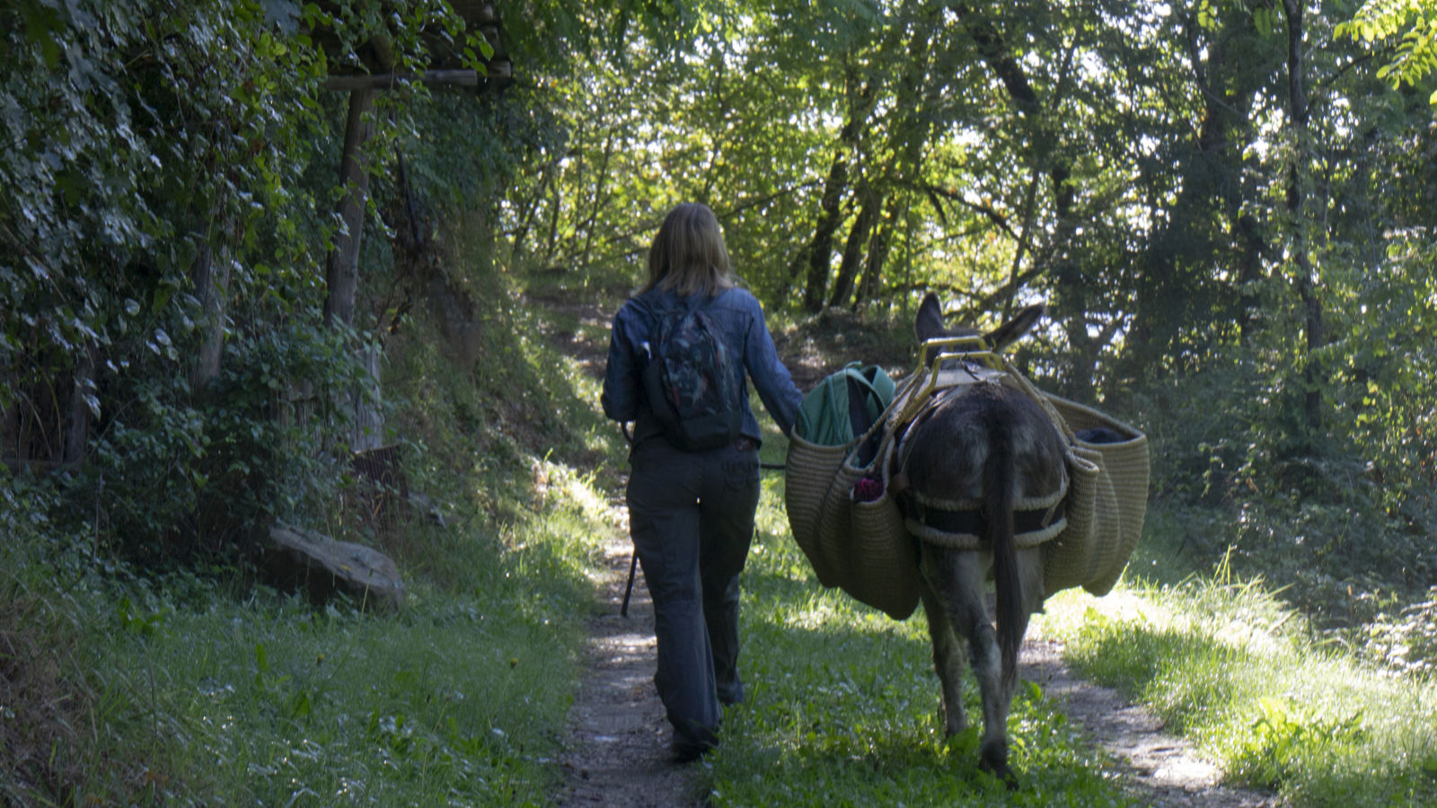 Laboratorio letterario nelle foreste Casentinesi nei luoghi di Dino Campana e passeggiate con gli asini