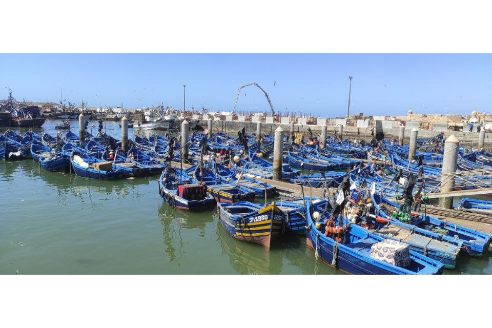 Il porto di Essaouira