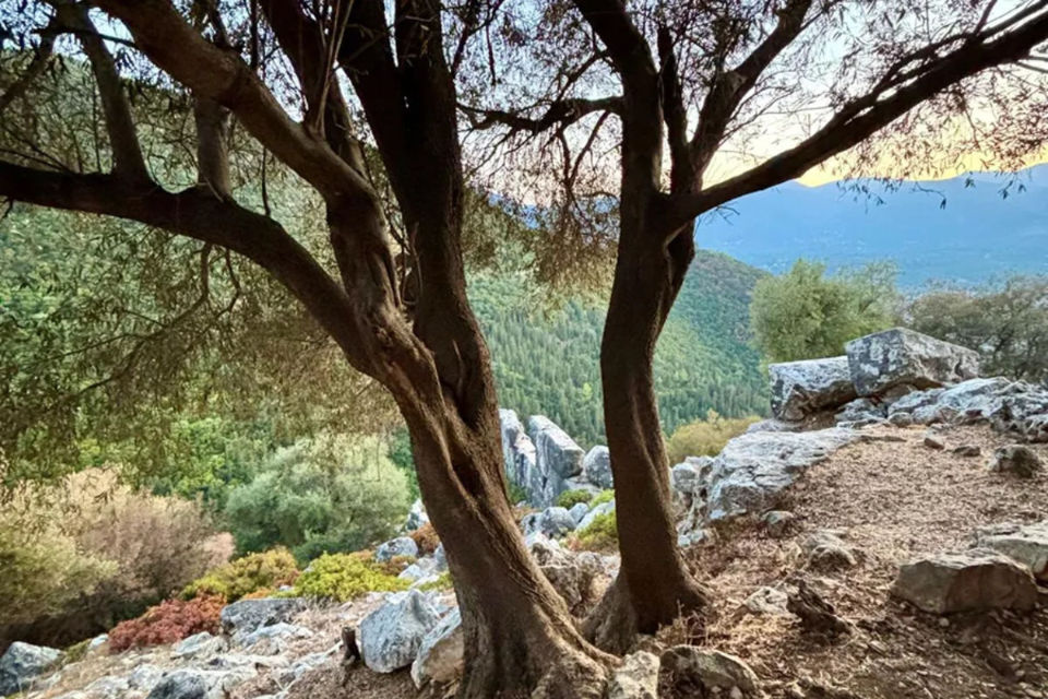 La riunione annuale dei cristalli a Cefalonia
