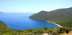 Antisamos