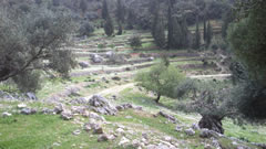 Le rovine di Sami