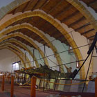 Nave punica