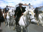 La vera santa della Gens du voyage - cavalli in strada (foto di Sara Pellicoro)