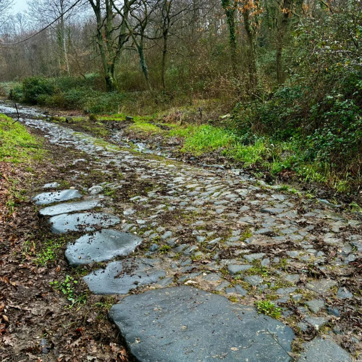 Laboratorio di scrittura in cammino per guide sentimentali 23-26 aprile 2026
