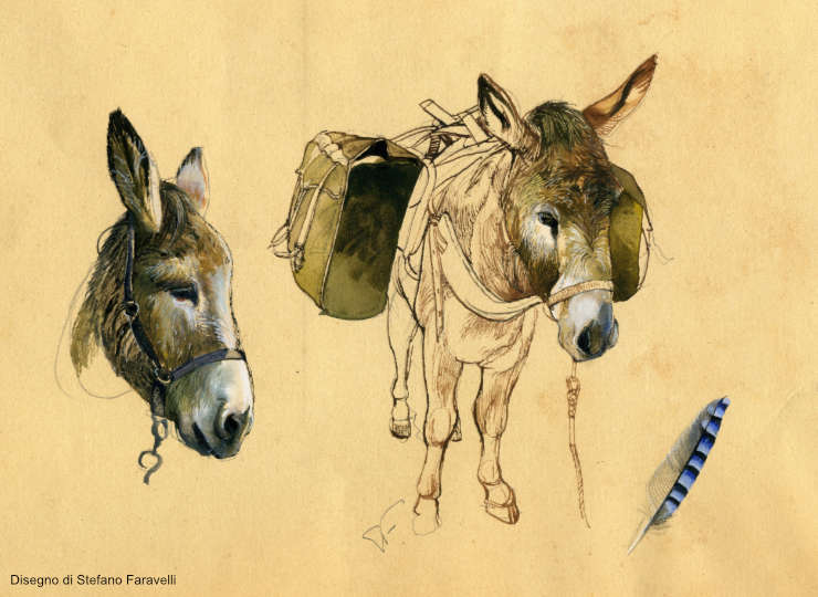 Tempo di regali 2