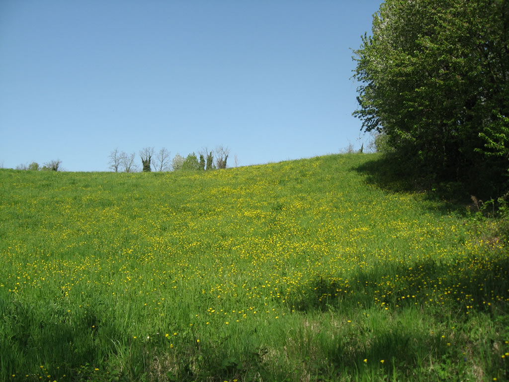 Una Collina Di Fiori Dove Si Puo Correre Liberi Storie Da Un Grande Fiume Progetto Storie Di Fiume E Il Grande Fiume Una Mappa Della Biodiversita Naturale E Culturale